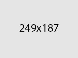Lorem ipsum facilisi